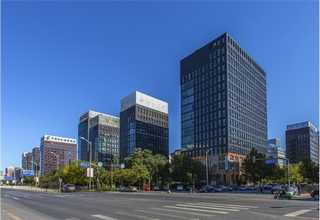 天津進(jìn)出口木材加工