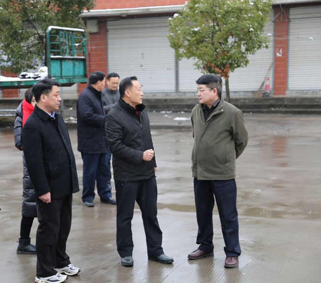 劉大群常務(wù)副市長(cháng)冒雪視察港華路加氣站